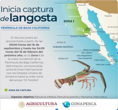 Temporada de captura de langosta, Baja California