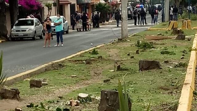 Tala de árboles en Atizapán