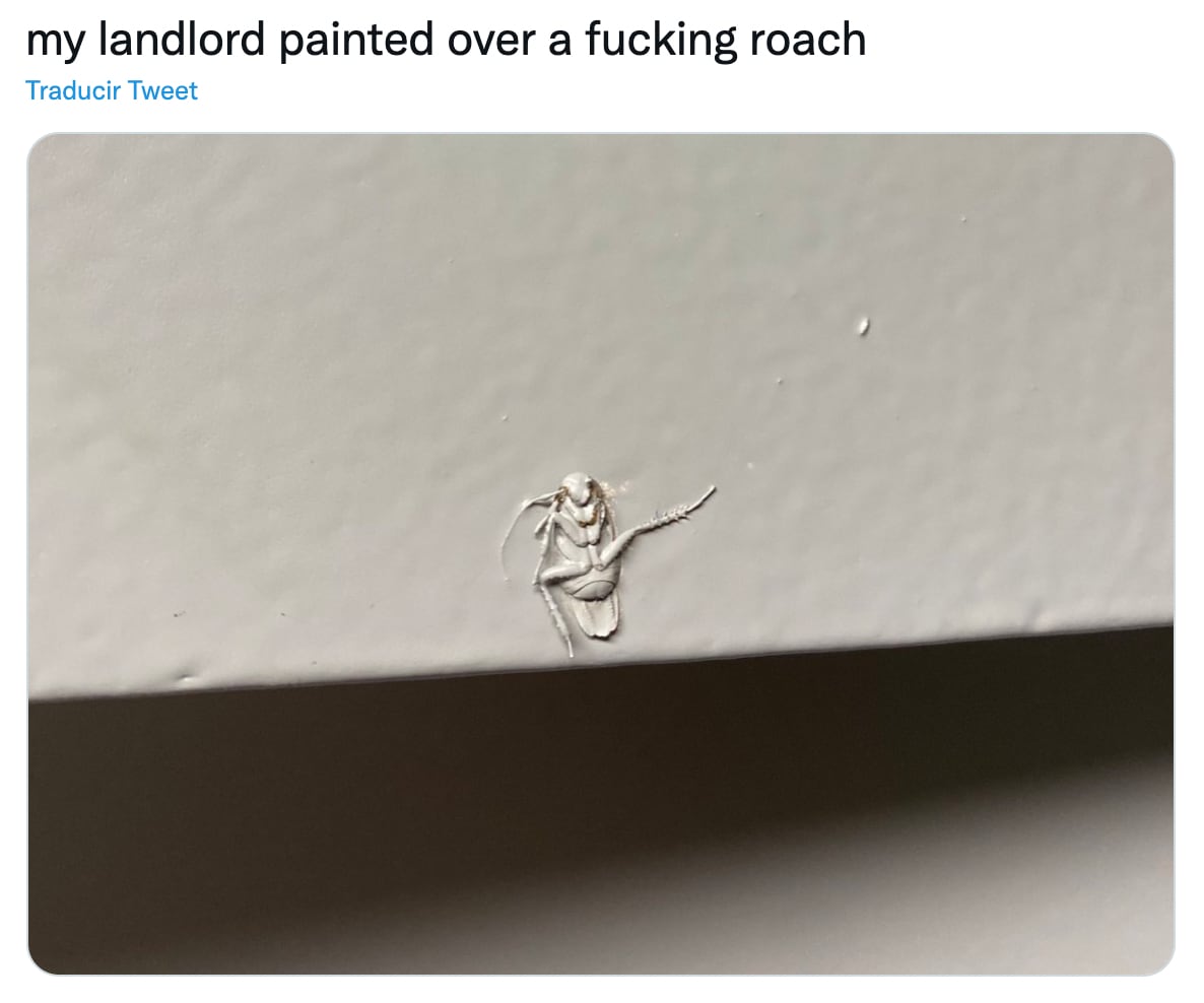 Cucaracha en la pared
