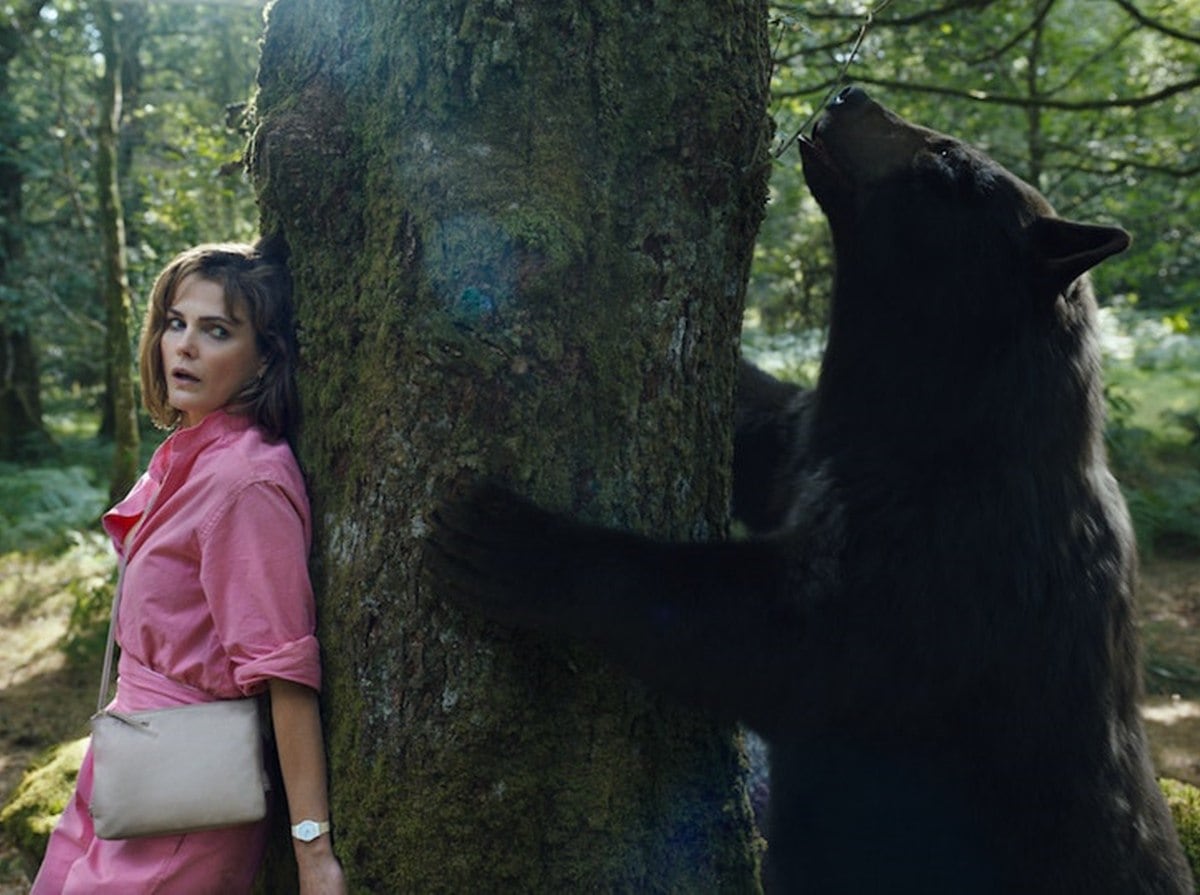 El póster oficial de Oso Intoxicado, la nueva película de un oso que consumió 30 kilos de cocaína