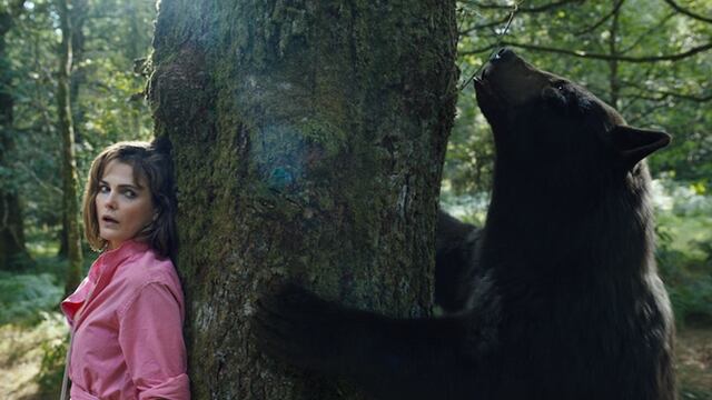 El póster oficial de Oso Intoxicado, la nueva película de un oso que consumió 30 kilos de cocaína