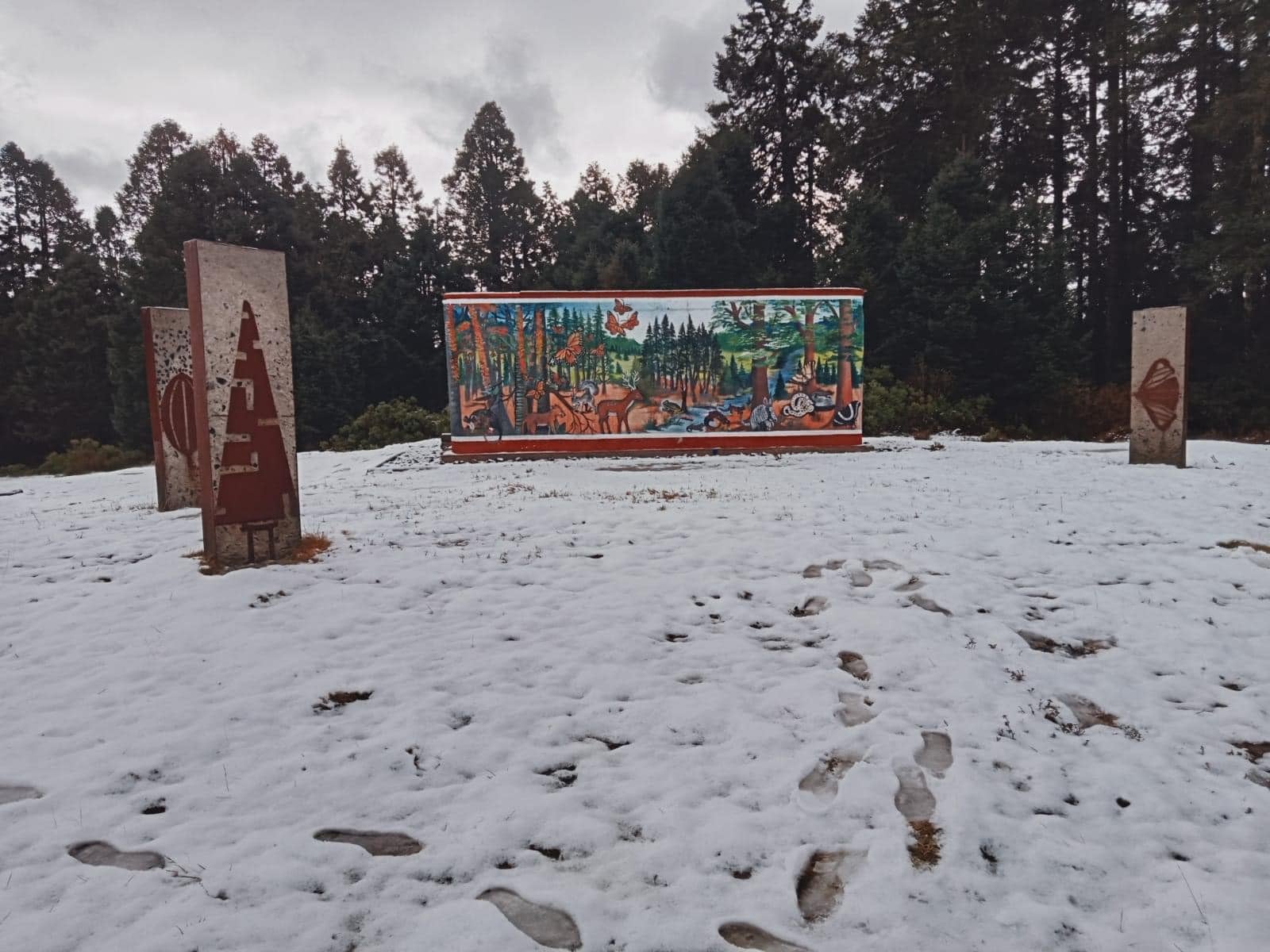 Santuarios de la Mariposa Monarca se cubren de nieve