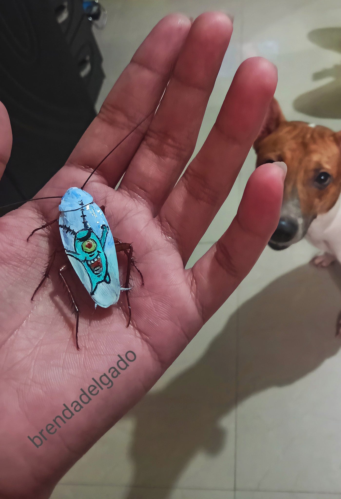 Arte en Cucarachas