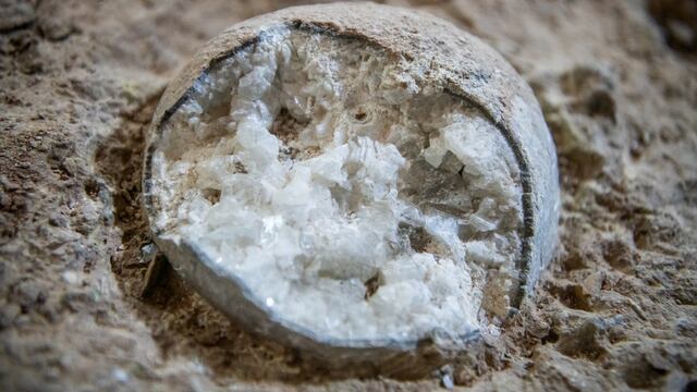 Huevos cristalizados de dinosaurio