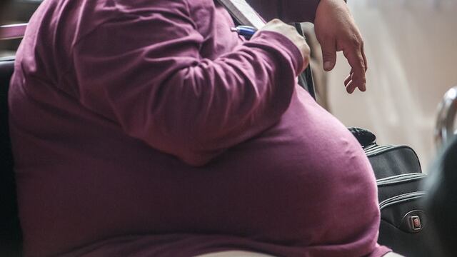 Grande, gordo y precoz pero menos fértil y masculino: La evolución del hombre