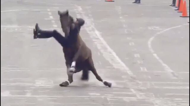 El soldado intentó hacer una acrobacia pero el caballo no soportó su peso