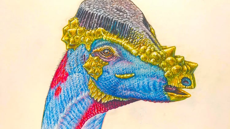 Un dinosaurio recién descubierto parece que llevaba un extraño peinado que lo hace único