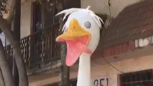 Judas de "me canso ganso"