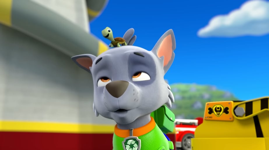 Paw Patrol por el Día Mundial de las Tortugas