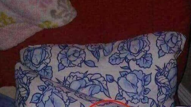 Almohada.