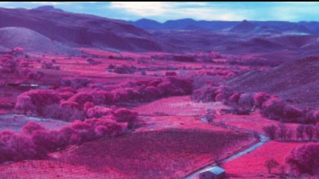 Alejandra Aragón 'Vine a La Pinta'