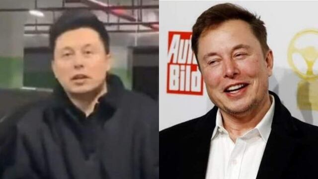 Elon Musk y su gemelo viral