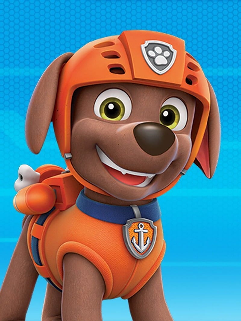 Fondo de pantalla Zuma de Paw Patrol posando 2