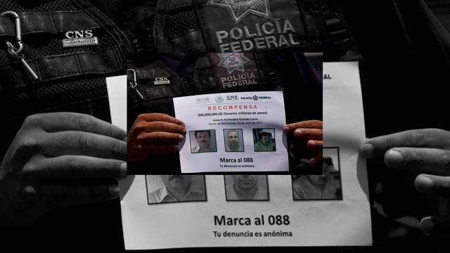  Sólo hay colaboración.