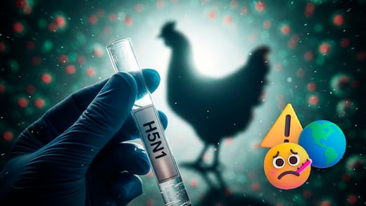 H5N1 explicado: síntomas, características y por qué está bajo vigilancia internacional