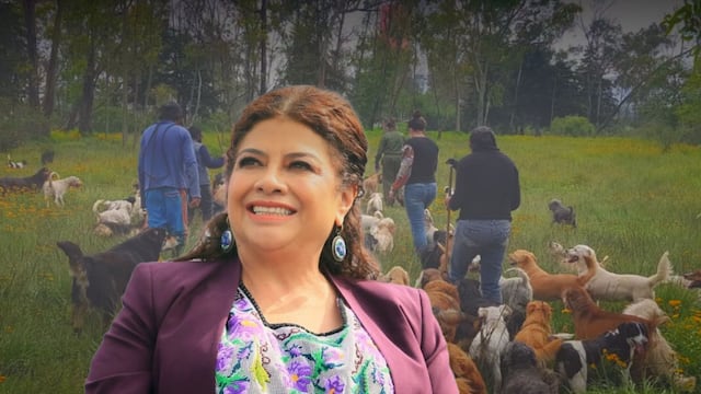 Brugada impulsa diálogos para una ley de refugios tras el caso Refugio Franciscano