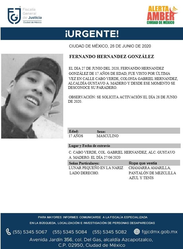 Ficha de búsqueda de Fernando.