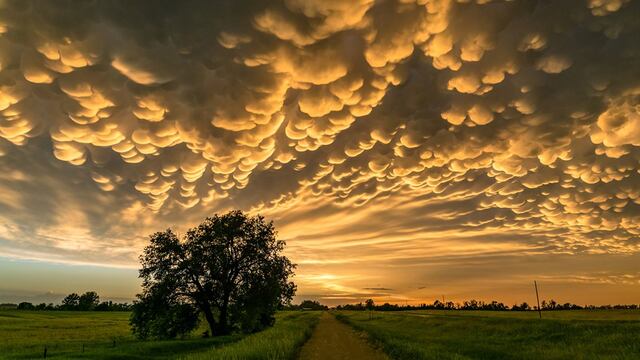 nubes mammatus o nube mastodóntica