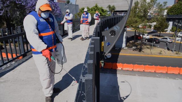 Con trajes de protección, sanitizaron macetas, bardas y barandales.