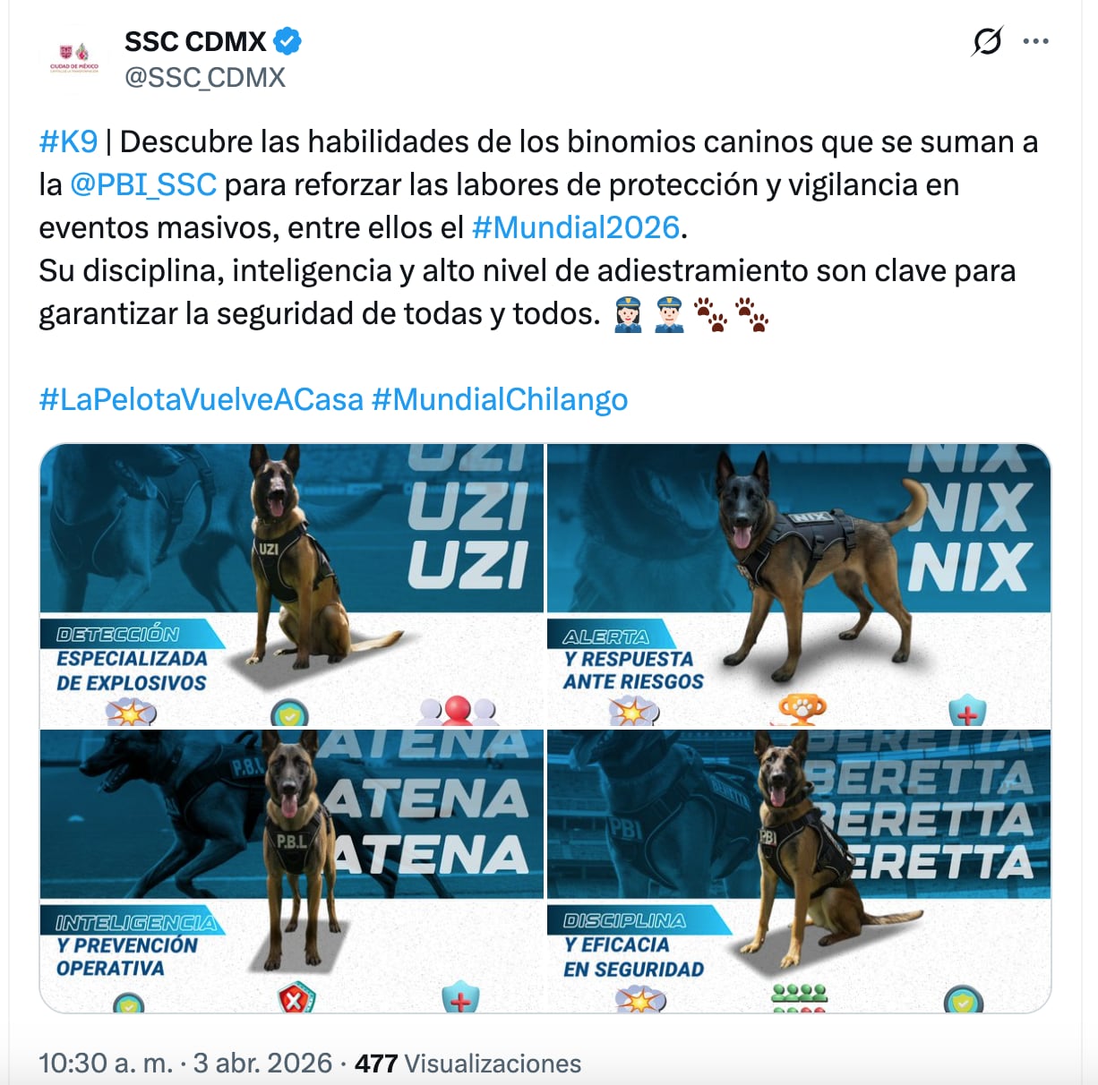 Ellos son los 4 binomios caninos de la CDMX para la seguridad del Mundial 2026