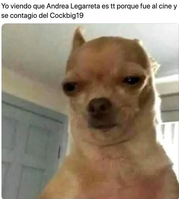 Meme Andrea Legarreta