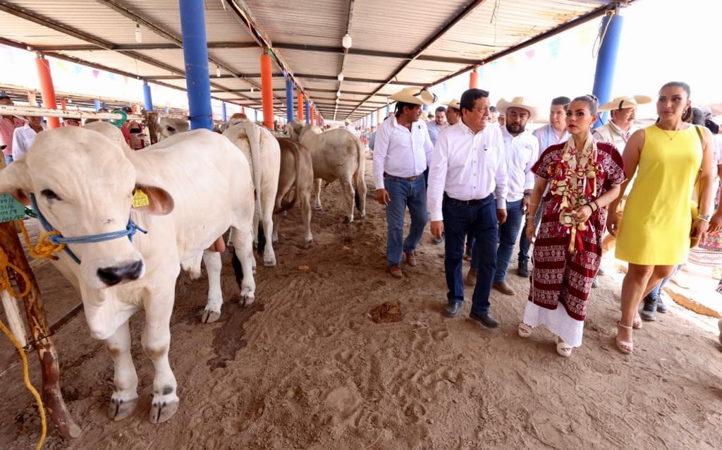 Evelyn Salgado entrega apoyos en Tierra Caliente