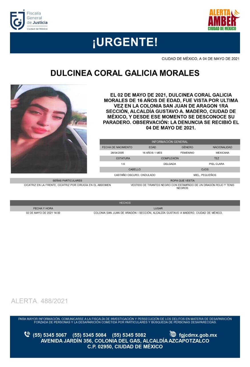 Ficha de búsqueda de Dulcinea