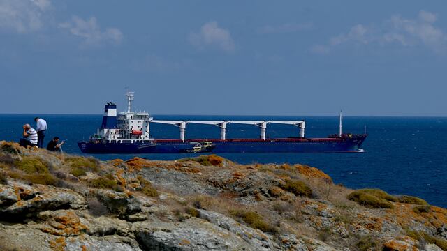 Turquía termina de inspeccionar primer barco de cereales ucranianios/ AFP