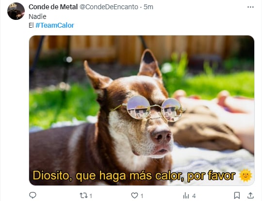 Memes por las altas temperaturas