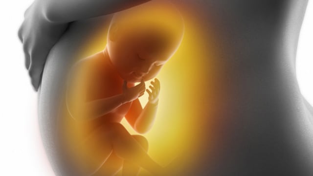 Todos deben saber que hay una deuda enorme con los derechos de las mujeres.