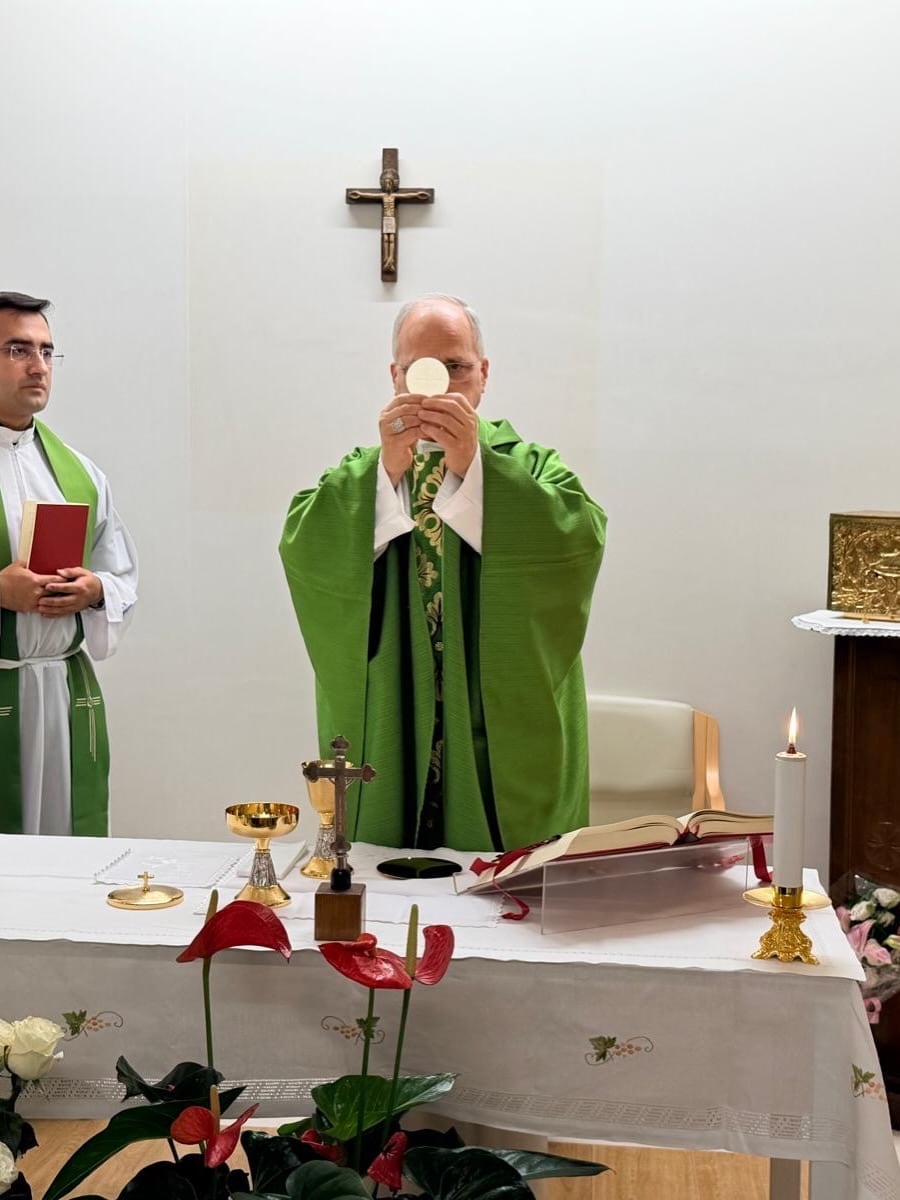 Papa León XIV mejora tras cirugía pulmonar: radiografía confirma su recuperación