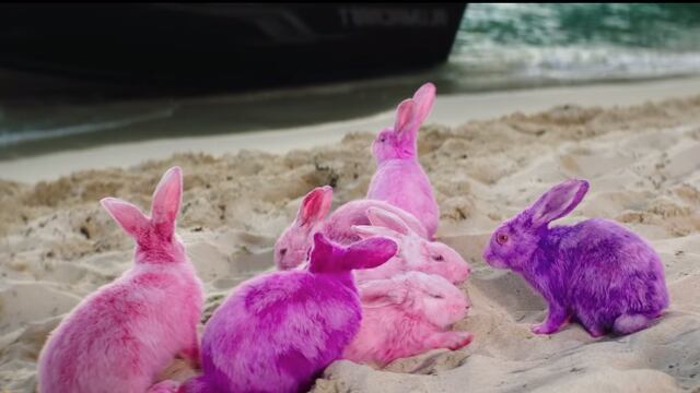 Conejos del video "Ni bien ni mal" de Bad Bunny