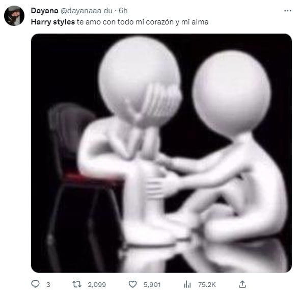 Memes de Harry Styles cerrando la era “Harry’s House”