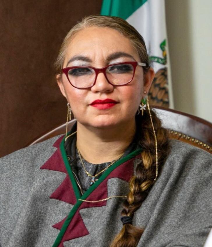 Claudia Arlett Espino, nueva Secretaria Ejecutiva del INE
