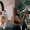 ¿Qué se celebra el 20 de febrero? Hoy es el Día del Fotógrafo y Camarógrafo, el Día Internacional del Gato y el Día Mundial de la Justicia Social