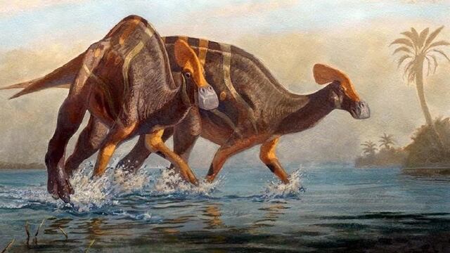 Nueva especie de dinosaurio encontrada en México.