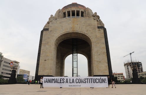 Se manifiestan a favor de los animales a la Constitución