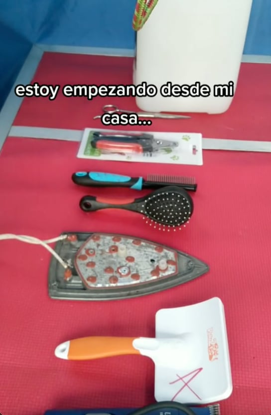 Renuncia a su trabajo y construye una estética canina