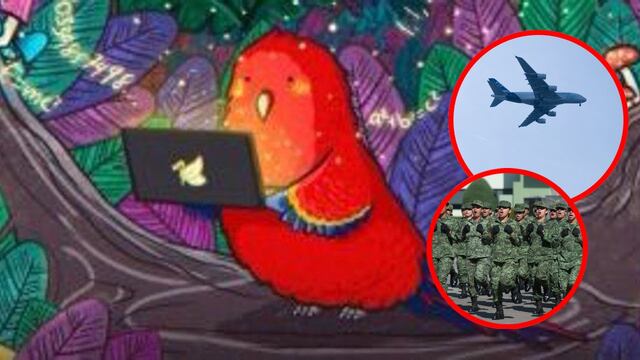 Guacamaya hackers: Sedena quiere operar su propia aerolínea