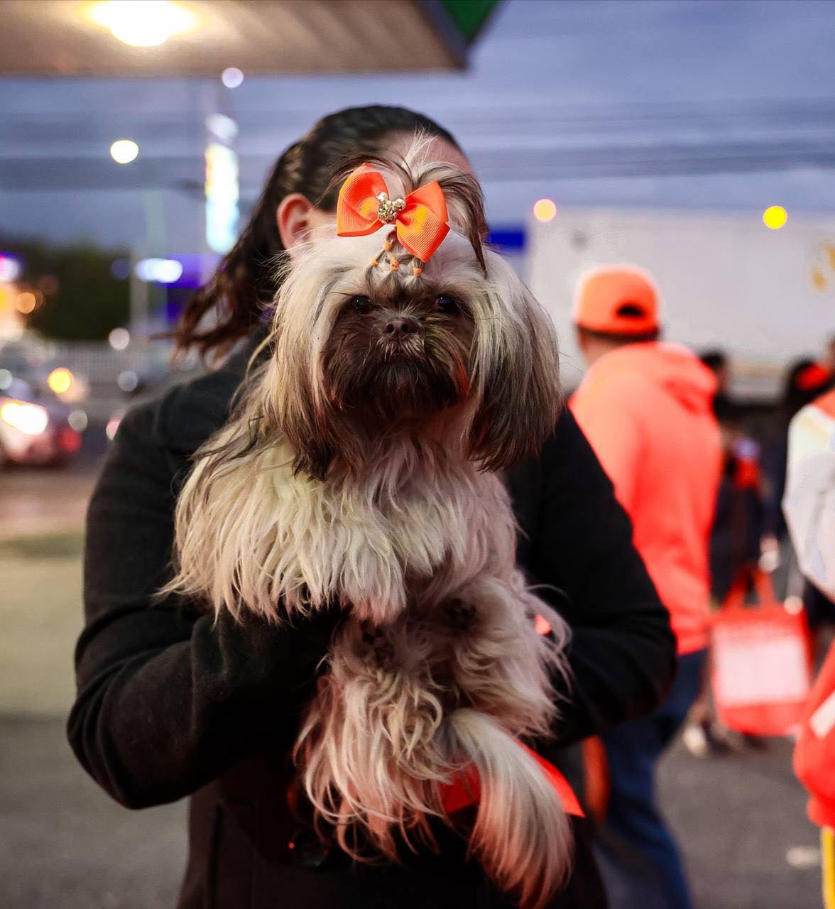 Mariana Rodríguez también regaló moños coquette a mascotas