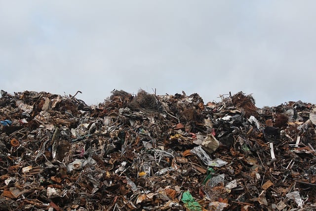 Basura