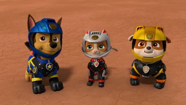 Paw Patrol por Día Internacional del Gato