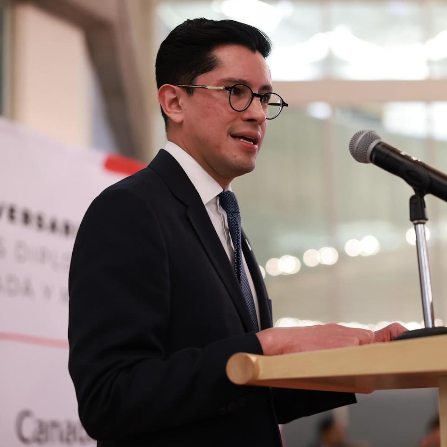 Roberto Velasco se encargará de SRE durante licencia de Juan Ramón de la Fuente