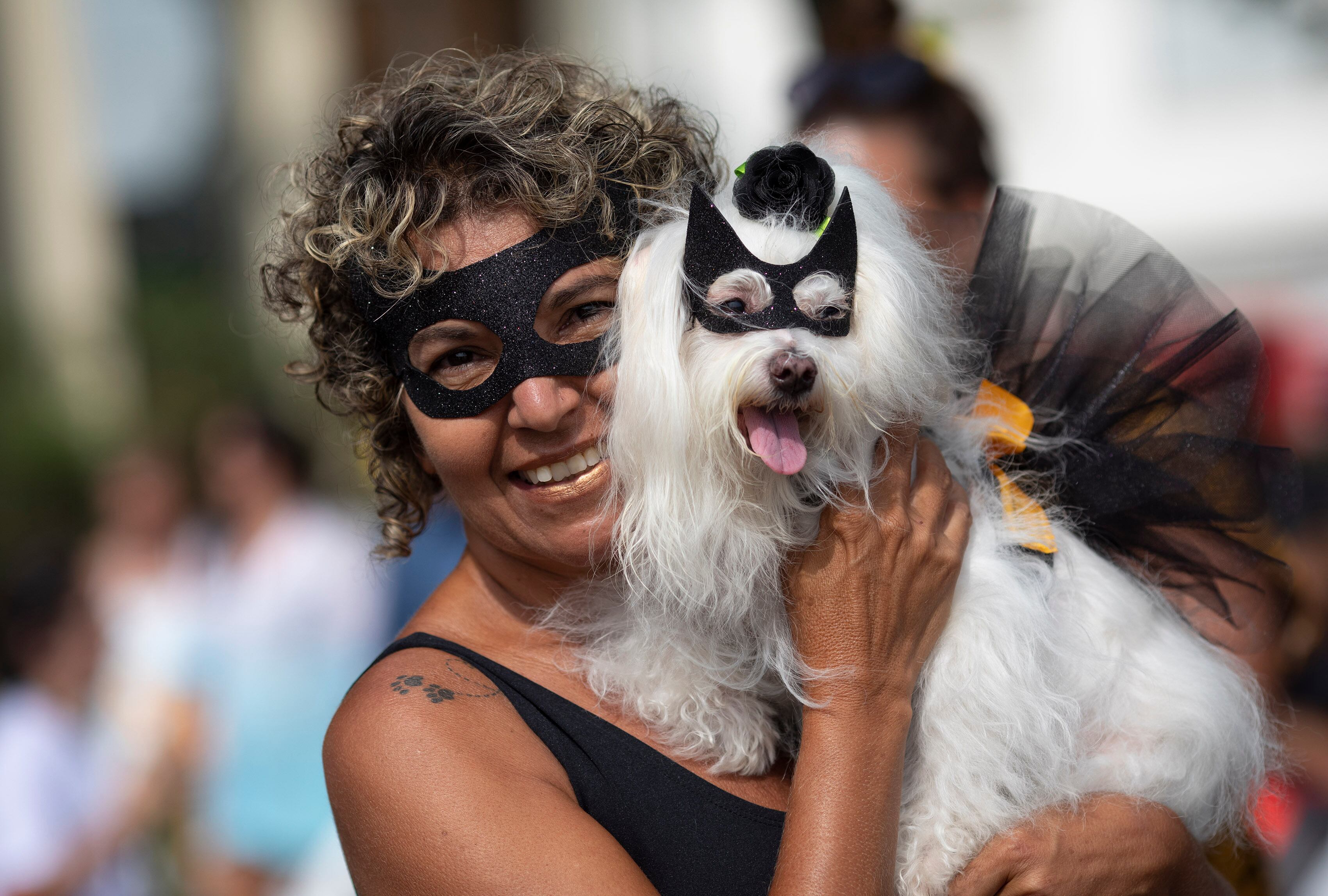 Perro disfrazado Río de Janeiro