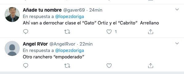 Críticas a El Bronco