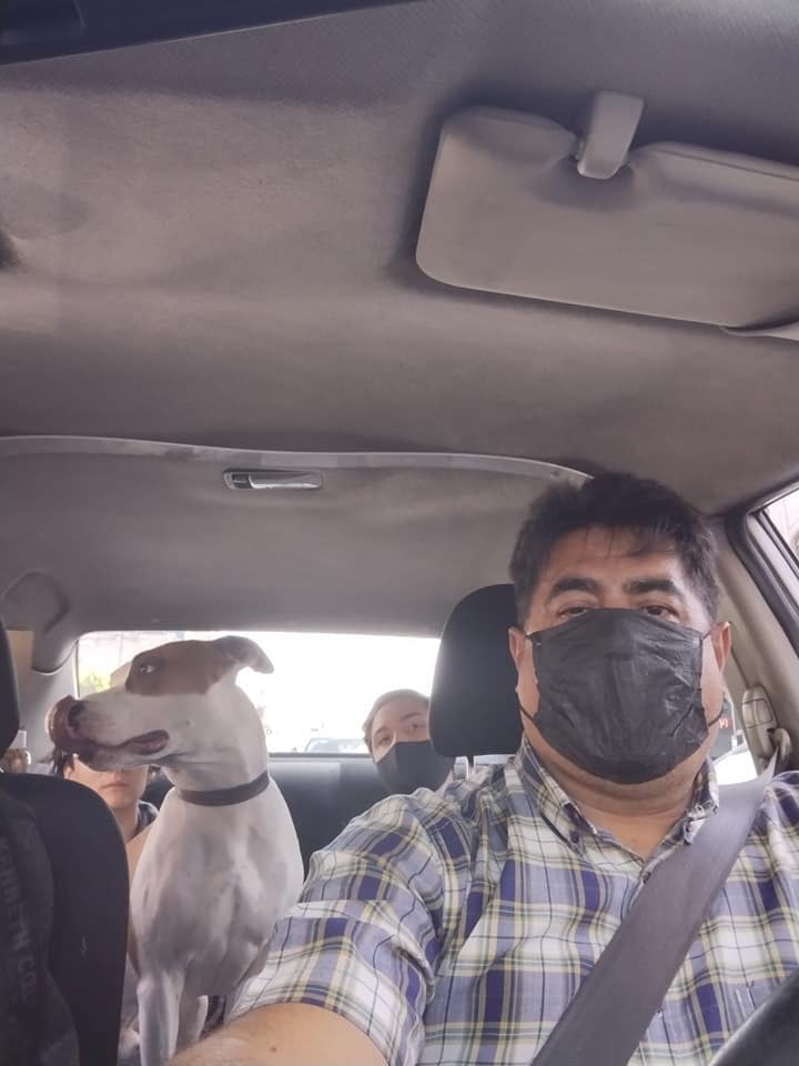 Señor ofrece viajes pet friendly en CDMX y Área Metropolitana