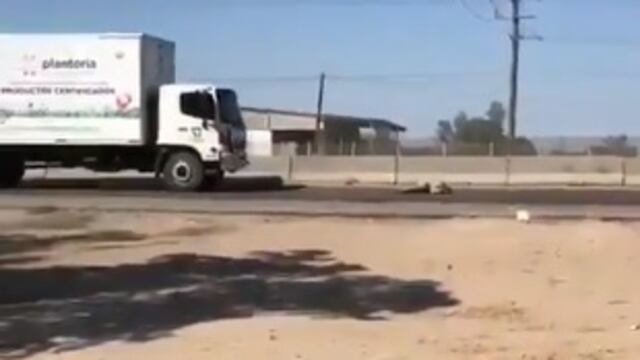 Hombre muere atropellado