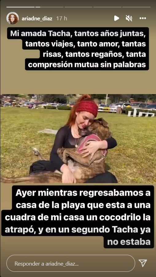 Ariadne Díaz destrozada luego de que un cocodrilo devoró a su perrita