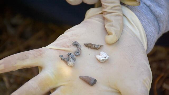 Restos humanos de desaparecidos en México