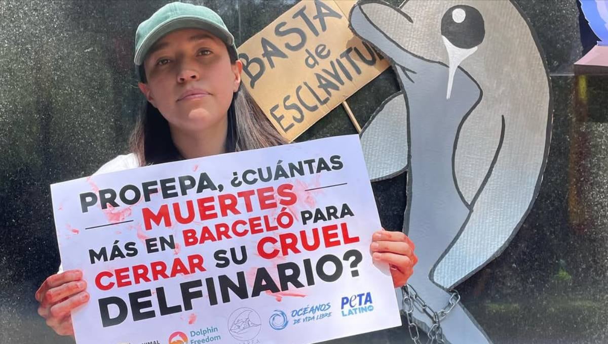 Sofía Berenice Morín Pérez